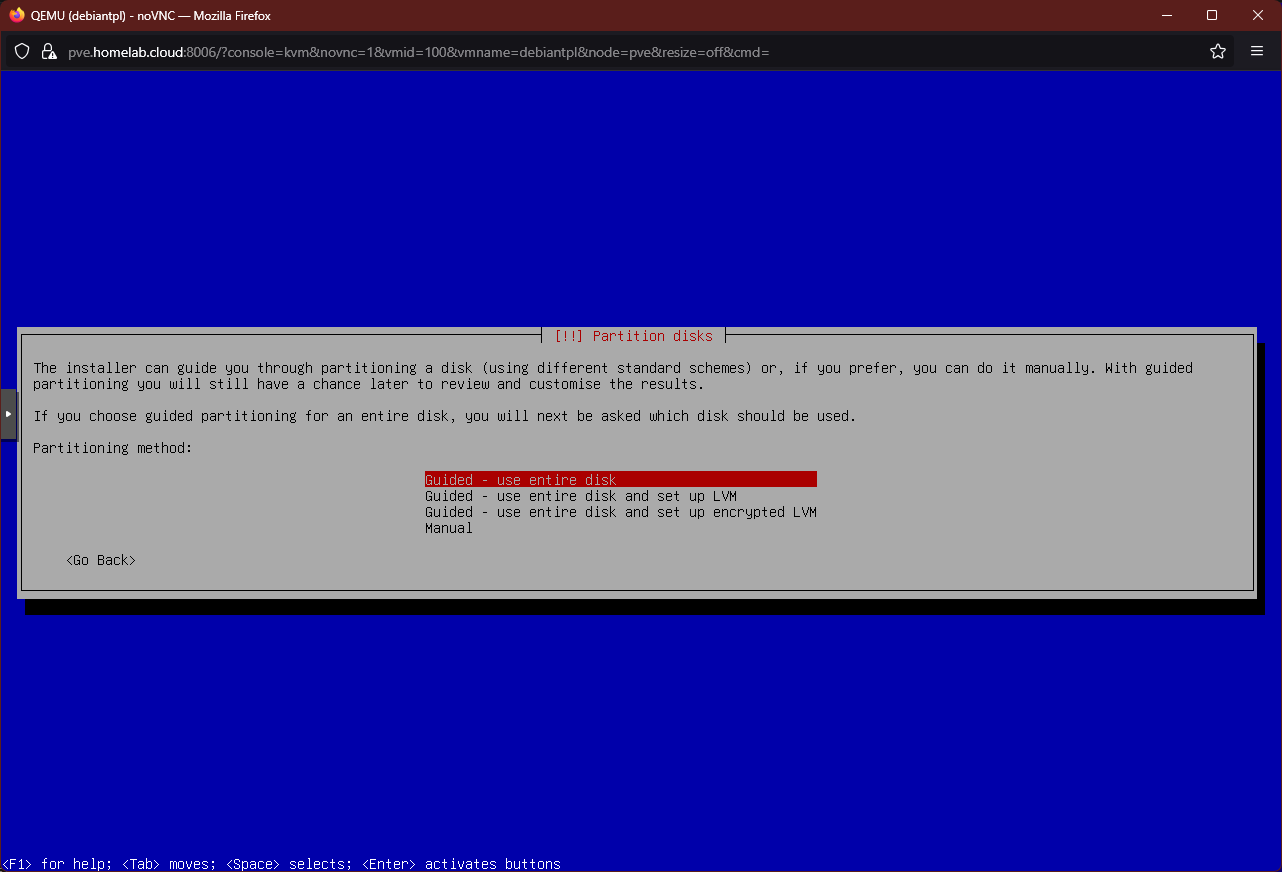 Disk partitioning options screen