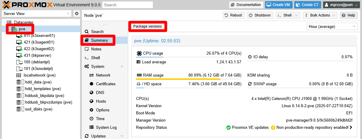 PVE node Summary tab Package versions button