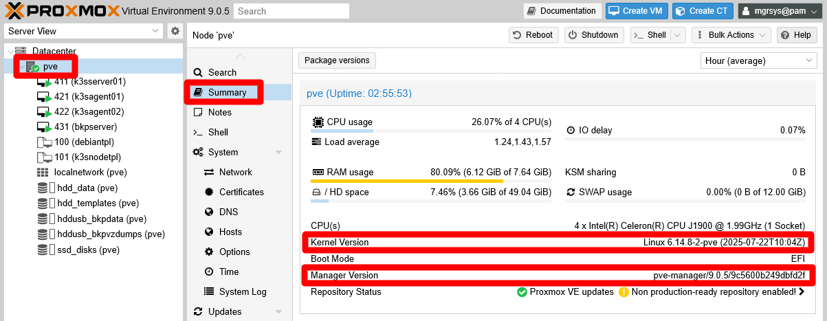 PVE node Summary tab versions highlighted